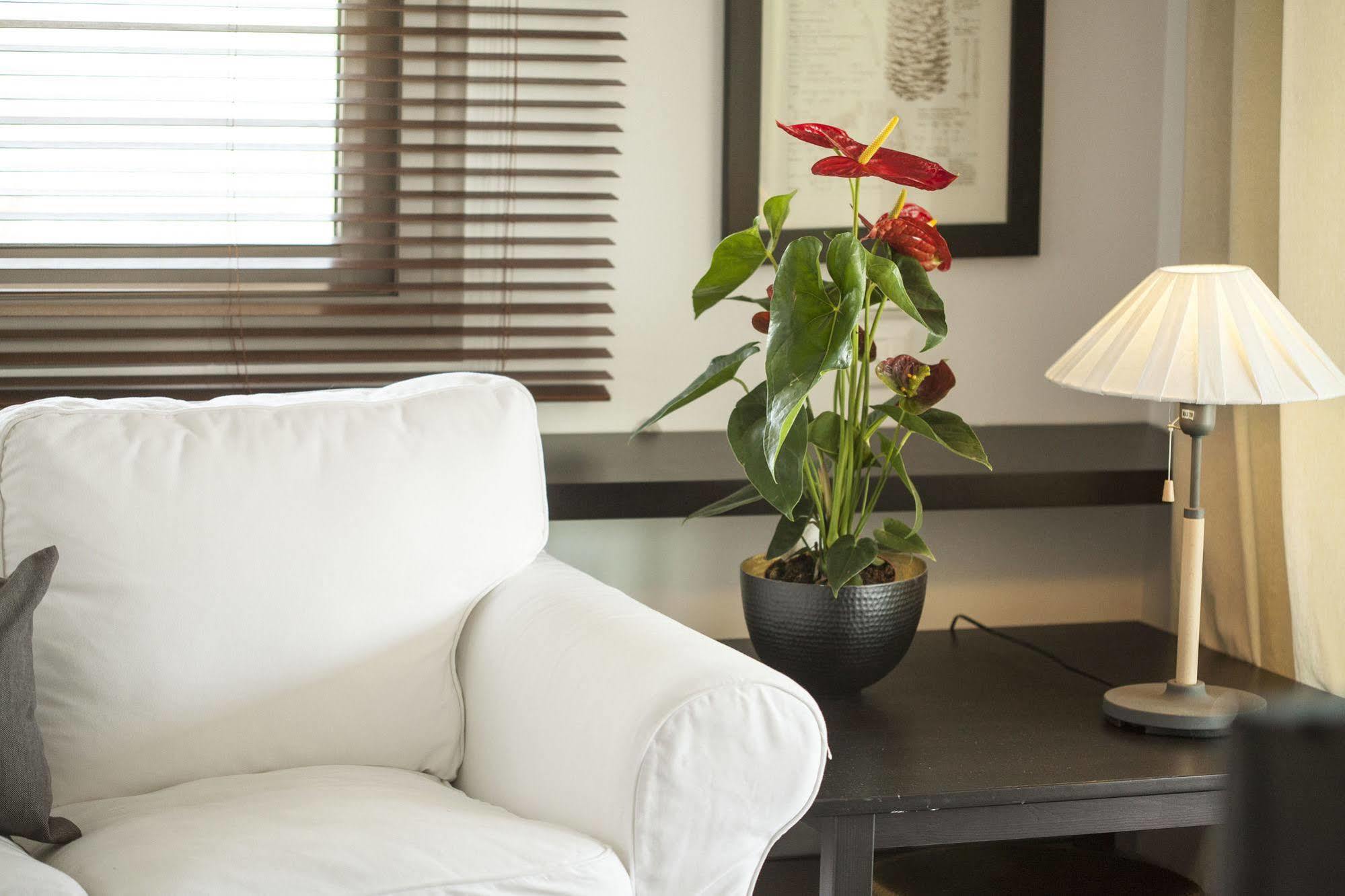 כלקידיקי Ammouda Villas מראה חיצוני תמונה